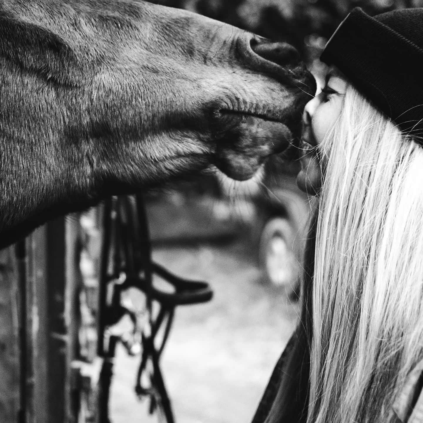 HÜHÜ
Kennt ihr das, wenn das Gegenüber nicht das richtige Timing beim Küssen hat? Manchmal ist die Liebe so groß, dass es stürmisch wird! ❤️ Ich sag's euch, Love has no lables!
Heute schon jemanden geküsst?

#friendshipgoals 
#friendship 
#portraitoftheday 
#horse 
#horselove 
#dasglückdiesererdeliegtaufdemrückenderpferde
#reiten
#hühhh 
#natur 
#embraceeverydayjoyfully 
#portraitfotografie 
#headshoot 
#beautiful 
#portaitvision
#discoverportrait 
#portraitphotography 
#portraitsession 
#discoverportraits 
#portraits_universe 
#theportraitcentral 
#top_portraits 
#dresden 
#portraitstream 
#portraitoftheday 
#portraitmood 
#tierfotografie 
#pferdeglück
#freundschaftsfoto
#horses
#tierfotografie
#franziskakestelfotografie 
#dresdengram